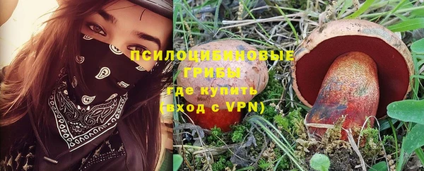 ALPHA-PVP Алексеевка