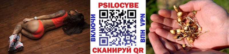 Галлюциногенные грибы Magic Shrooms  Дудинка 